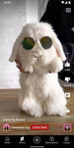 油管23.39全球最大的视频分享网站图2