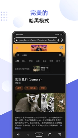 狐猴浏览器.3.010最新版(3)