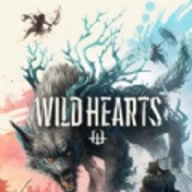 狂野之心.4最新版