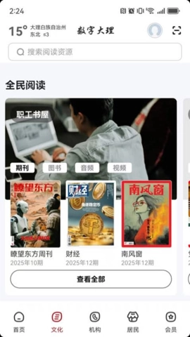 数字大理安卓版(3)