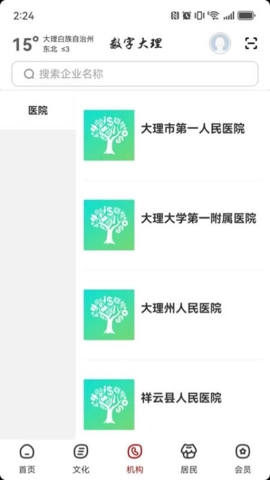 数字大理安卓版(1)