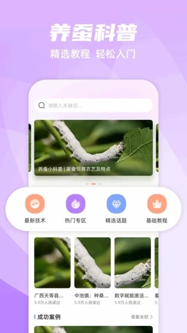 养蚕日常安卓版(4)