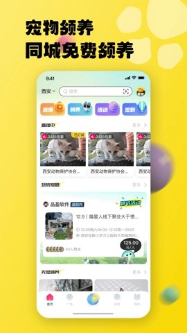 寵之谷手機版