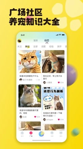 寵之谷手機版