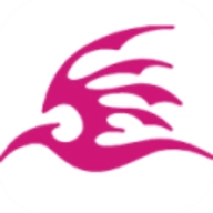 飞极速动漫安卓版