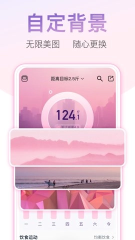 體重小本安卓版