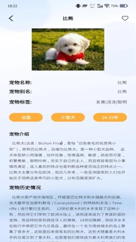 动物翻译通安卓版(3)