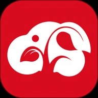 兴兴象农安卓版