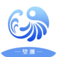 望潮安卓版