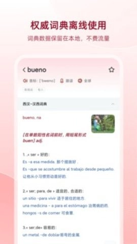 西语助手25.7.2最新版图3
