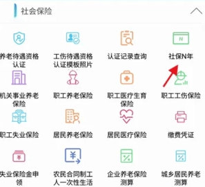 青海人社通养老资格认证 1.2.01 安卓版