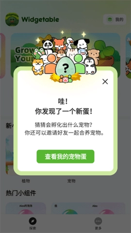 widgetable宠物 3.5.030 最新版