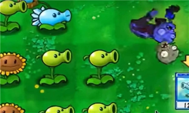 植物大战僵尸抽卡版下载截图3