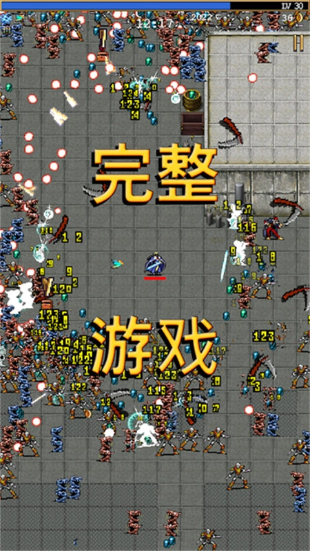 吸血鬼幸存者手机版