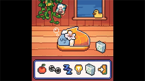 我的小鲨鱼移植版(3)