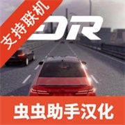 梦想之路多人游戏