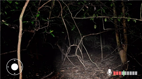 不要尖叫联机版