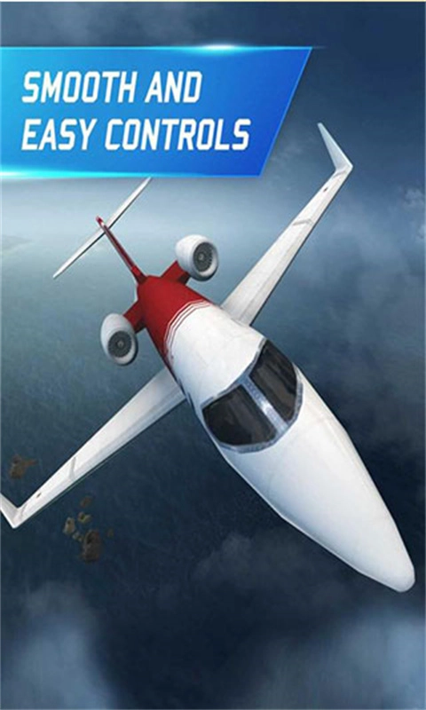 真实飞行模拟器pro(1)