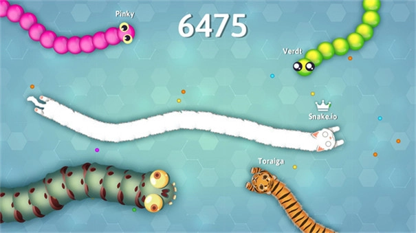 Snakeio(3)