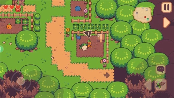 大头菜菜历险记