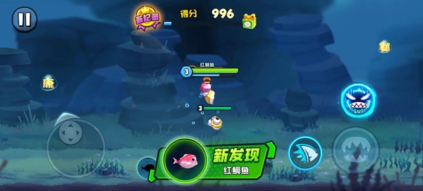 鱼吃鱼国际服免费版下载