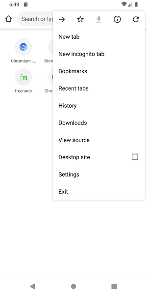 Bromite浏览器图1