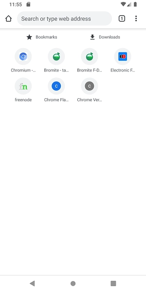 Bromite浏览器图3