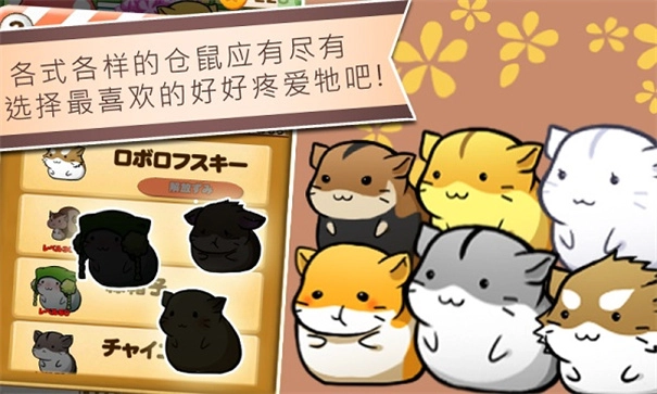 仓鼠的日常HamsterLife图1