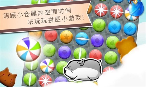 仓鼠的日常HamsterLife图5