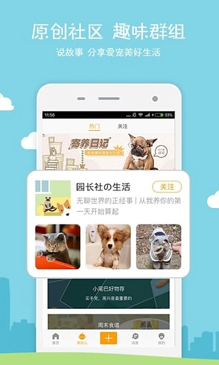 小狗在家图3