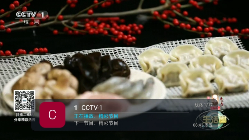 刺桐TV电视版
