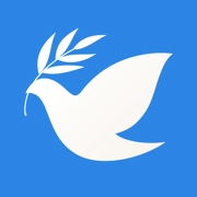 飞鸽博客官方版