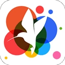 360小鸟壁纸 V3.0.2