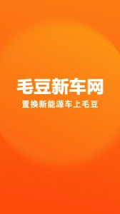 毛豆新车1
