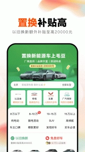 毛豆新车2