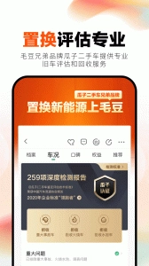 毛豆新车5