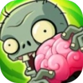植物大战僵尸共生版