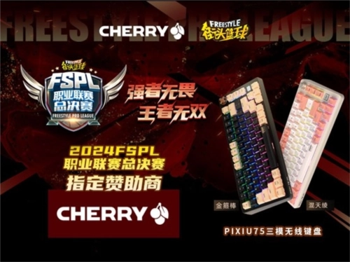 王者无双CHERRY助力2024FSPL职业联赛总决赛