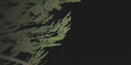 不要尖叫手机版图片2