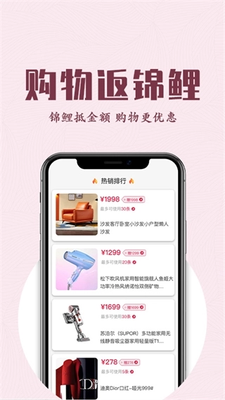 锦鲤购图1