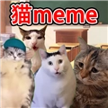 猫meme搞怪冒险游戏