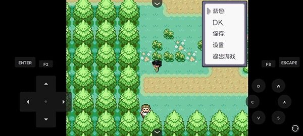 口袋妖怪燃之智(4)