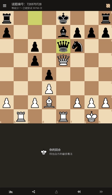 lichessorg国际象棋手机版截图5