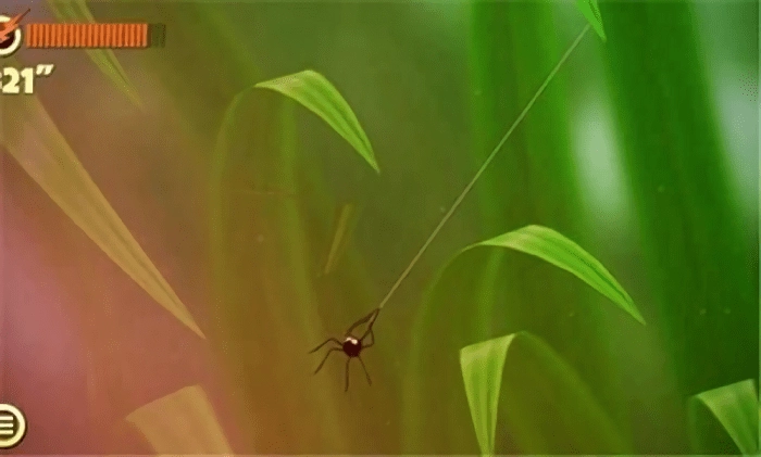 蜘蛛的冒险安装(SpiderTrouble)1