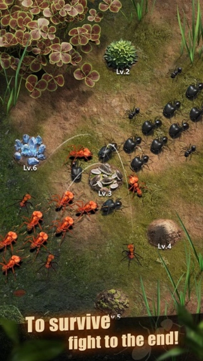 蚂蚁地下王国模拟器(TheAnts)