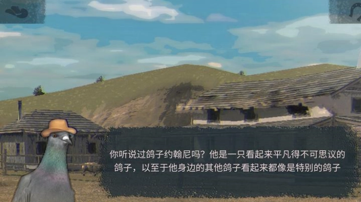 鸽子西部鸽子约翰尼原版(4)