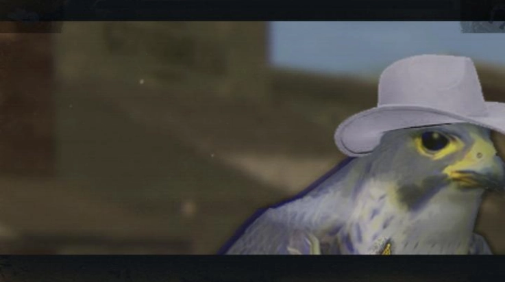 鸽子西部鸽子约翰尼原版(2)