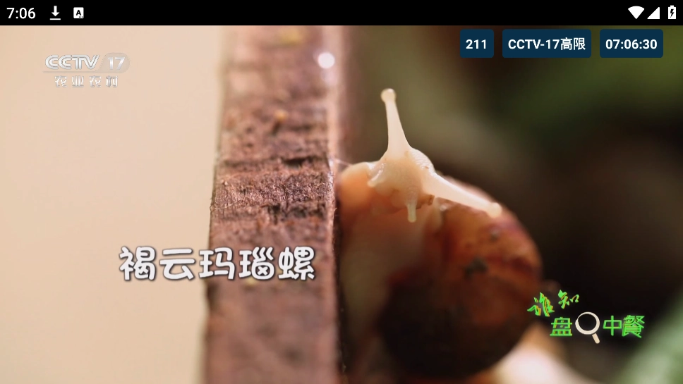 猫TV影视美刷版(3)