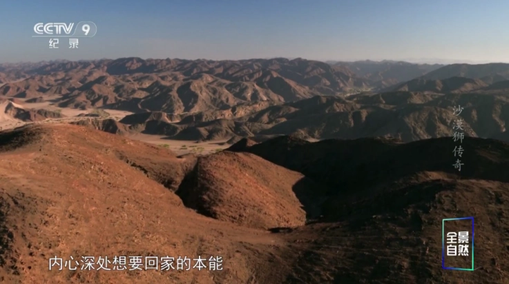 哪吒影院电视tv(3)