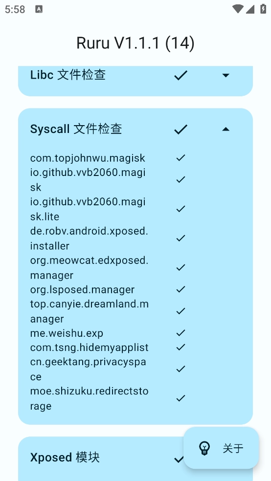 ruru环境检测最新版(2)